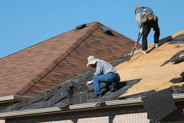 Trusted Bethel, WA Roofing service Experts